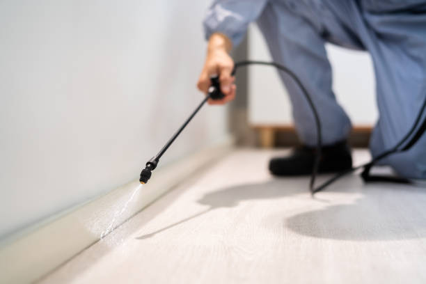 Licensed Cockroach Control service in Winthrop, IA - Nex Pest Control