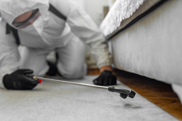 Professional Cockroach Control technician working in Winthrop, IA