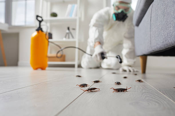 Affordable Cockroach Control solutions in Winthrop, IA